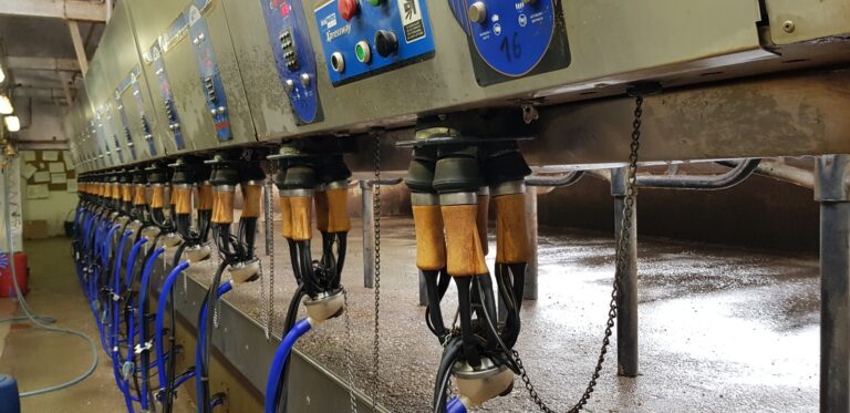 Automatyczny dipping i dezynfekcja aparatów – ADF Milking