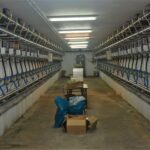 InVent ADF Milking - Paul Polska